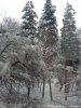 Клуб Ниссан Террано | Форум Terrano-Club.Ru | Фото: image.jpeg