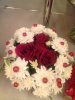 20180126_095549.jpg