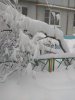 Клуб Ниссан Террано | Форум Terrano-Club.Ru | Фото: IMG_20180204_162457.jpg