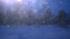 WP_20180125_08_35_35_Pro.jpg