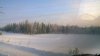 Клуб Ниссан Террано | Форум Terrano-Club.Ru | Фото: WP_20180213_10_35_23_Pro.jpg