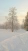 WP_20180213_14_57_15_Pro.jpg