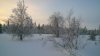 WP_20180213_14_57_03_Pro.jpg