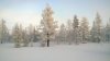 WP_20180213_14_56_40_Pro.jpg