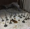 IMG-20180122-WA0000.jpg