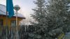 Клуб Ниссан Террано | Форум Terrano-Club.Ru | Фото: WP_20180310_08_49_44_Pro.jpg