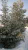 Клуб Ниссан Террано | Форум Terrano-Club.Ru | Фото: WP_20180310_08_49_35_Pro.jpg