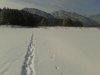 Клуб Ниссан Террано | Форум Terrano-Club.Ru | Фото: 20180302_122004.jpg
