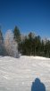 Клуб Ниссан Террано | Форум Terrano-Club.Ru | Фото: WP_20180310_11_20_29_Pro.jpg