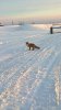 WP_20180226_16_09_58_Pro.jpg