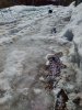 IMG_20180406_113435_HDR.jpg