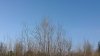 Клуб Ниссан Террано | Форум Terrano-Club.Ru | Фото: WP_20180413_07_56_35_Pro.jpg