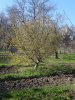 Клуб Ниссан Террано | Форум Terrano-Club.Ru | Фото: DSC056850.jpg