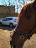IMG_20180505_150616.jpg