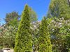 Клуб Ниссан Террано | Форум Terrano-Club.Ru | Фото: IMG_20180506_105701.jpg