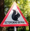 Клуб Ниссан Террано | Форум Terrano-Club.Ru | Фото: IMG_20180526_161855.jpg