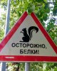 Клуб Ниссан Террано | Форум Terrano-Club.Ru | Фото: IMG_20180526_165203.jpg