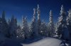 Клуб Ниссан Террано | Форум Terrano-Club.Ru | Фото: Геш DSC07213.JPG
