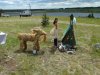 Клуб Ниссан Террано | Форум Terrano-Club.Ru | Фото: DSCF8113.JPG