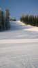 Клуб Ниссан Террано | Форум Terrano-Club.Ru | Фото: WP_20180310_09_04_59_Pro.jpg