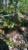 WP_20180823_09_48_08_Pro.jpg