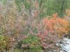 Клуб Ниссан Террано | Форум Terrano-Club.Ru | Фото: 20180912_151308.jpg
