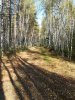 IMG_20180922_142235.jpg