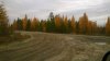 Клуб Ниссан Террано | Форум Terrano-Club.Ru | Фото: WP_20180925_12_27_57_Pro.jpg