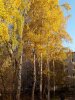 Клуб Ниссан Террано | Форум Terrano-Club.Ru | Фото: IMG_20181020_102119.jpg