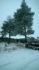 Клуб Ниссан Террано | Форум Terrano-Club.Ru | Фото: WP_20181106_07_26_21_Pro.jpg