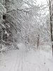 Клуб Ниссан Террано | Форум Terrano-Club.Ru | Фото: IMG_20181124_122115.jpg