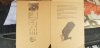 20181205_104050.jpg