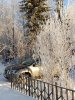 Клуб Ниссан Террано | Форум Terrano-Club.Ru | Фото: IMG_20181215_121119.jpg