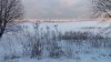 Клуб Ниссан Террано | Форум Terrano-Club.Ru | Фото: IMG_20181231_145716.jpg