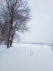 Клуб Ниссан Террано | Форум Terrano-Club.Ru | Фото: IMG_20190105_155031.jpg