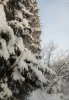 Клуб Ниссан Террано | Форум Terrano-Club.Ru | Фото: IMG_20190107_152208_266.jpg