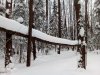 Клуб Ниссан Террано | Форум Terrano-Club.Ru | Фото: IMG_20190209_140733.jpg