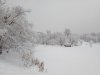 Клуб Ниссан Террано | Форум Terrano-Club.Ru | Фото: IMG_20190213_133223.jpg