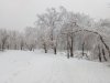 Клуб Ниссан Террано | Форум Terrano-Club.Ru | Фото: IMG_20190213_133129.jpg