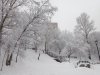 Клуб Ниссан Террано | Форум Terrano-Club.Ru | Фото: IMG_20190213_131847.jpg