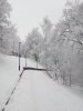Клуб Ниссан Террано | Форум Terrano-Club.Ru | Фото: IMG_20190213_132143.jpg