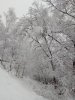 Клуб Ниссан Террано | Форум Terrano-Club.Ru | Фото: IMG_20190213_132153.jpg