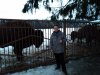 IMG_20190316_185750.jpg