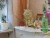 IMG_5169.JPG