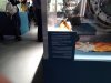 IMG_20190413_164521.jpg