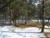 Клуб Ниссан Террано | Форум Terrano-Club.Ru | Фото: 20190408_094052.jpg