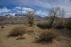 Клуб Ниссан Террано | Форум Terrano-Club.Ru | Фото: DSC02371 20р.jpg