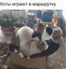 Клуб Ниссан Террано | Форум Terrano-Club.Ru | Фото: Маршрутка.png