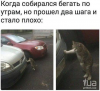 Клуб Ниссан Террано | Форум Terrano-Club.Ru | Фото: Устал.png