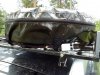 IMG_20190630_120236.jpg
